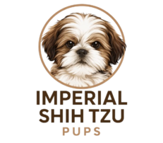 IMPERIAL SHIH TZU PUPS